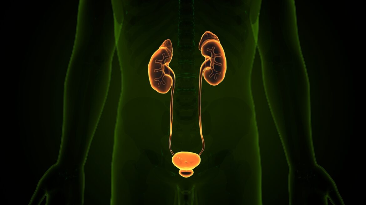 Tecnologia transforma tratamentos na urologia moderna