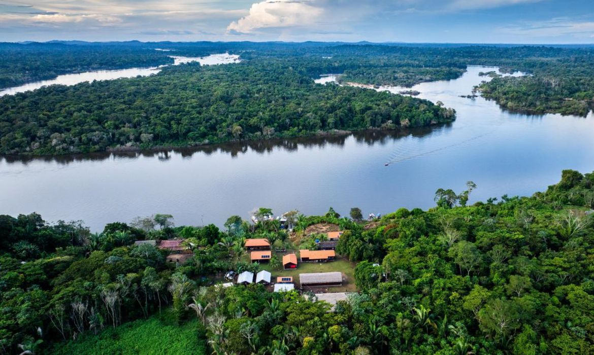 BNDES lança edital voltado para recuperação da floresta amazônia
