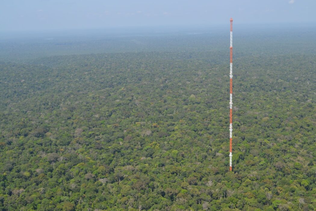 Projeto ATTO celebra dez anos da maior torre de monitoramento climático do mundo, uma colaboração do Brasil com a Alemanha