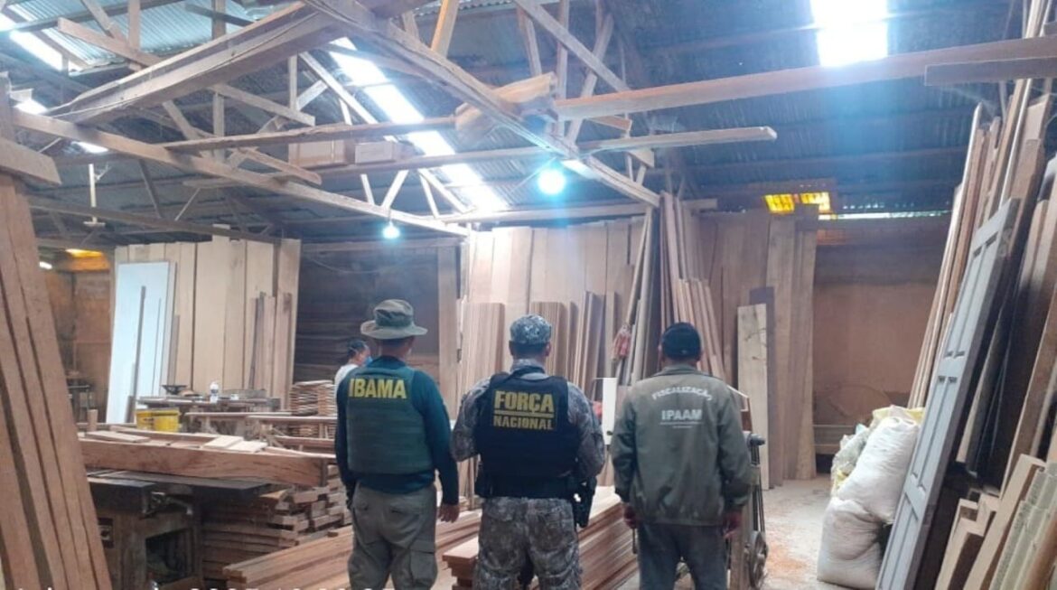 Ipaam aplica R$ 1,39 milhão em multas por crimes ambientais durante Operação Força Tarefa Amazônia