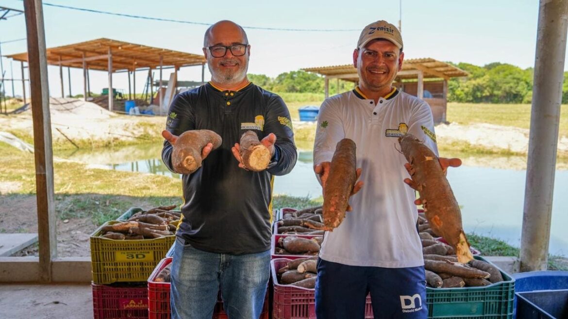 No aniversário de independência do Amazonas, Sicredi destaca atuação do cooperativismo de crédito para impulsionar a economia local