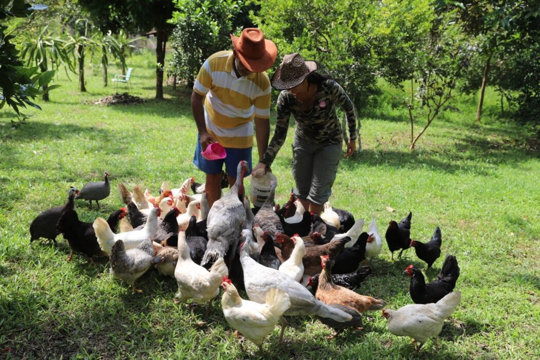 Sepror profissionaliza mais de três mil produtores rurais em cinco municípios do Amazonas