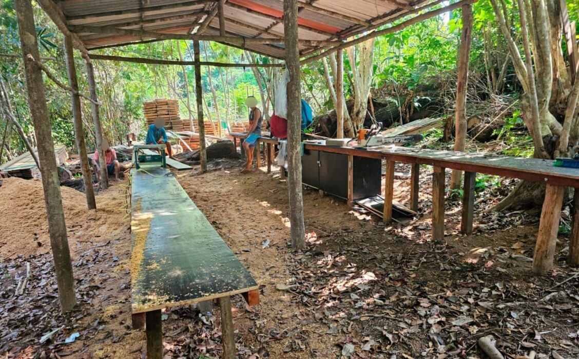 Fiscalização autuou três pessoas e duas empresas, além de notificar quatro pessoas, durante ação em Manaus, Iranduba e Novo Airão