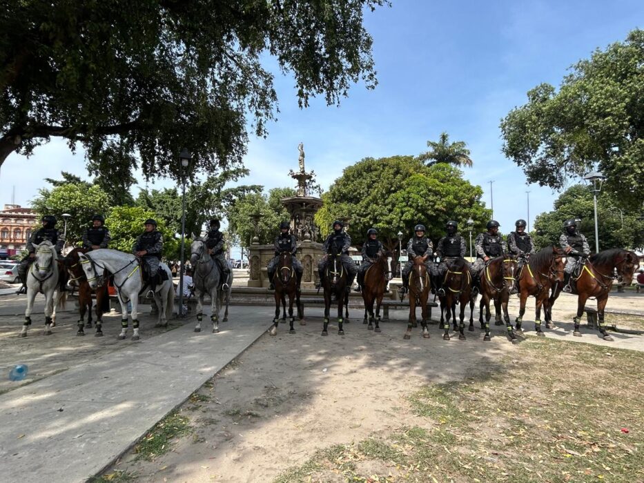 Cavalaria da PMAM completa seis meses de atuação no Centro de Manaus
