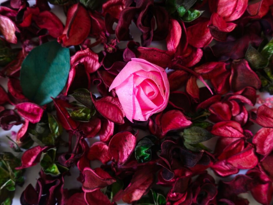 Ação do caminhão da Giuliana Flores repercute entre consumidores e celebridades