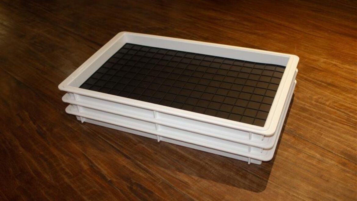 Padronização e sustentabilidade ganham espaço nas cozinhas profissionais