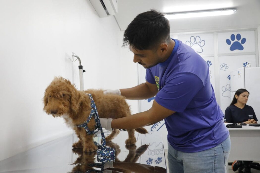 Hospital Público Veterinário do Amazonas inicia atendimentos a população