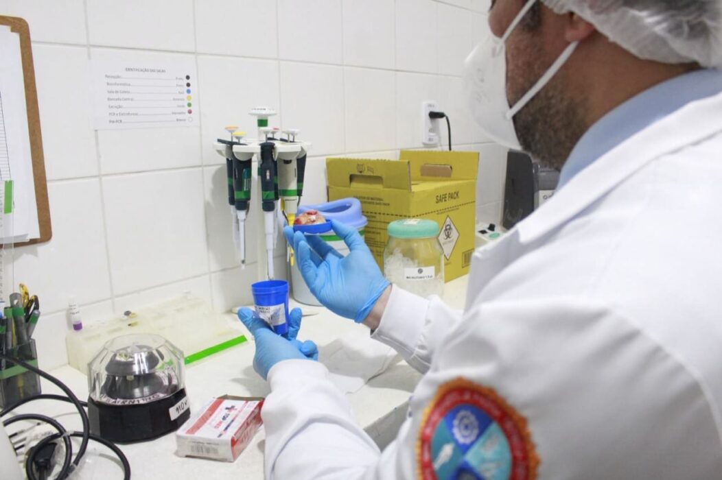 Amazonas ocupa 3º lugar no ranking nacional de perfis genéticos e se destaca na genética forense