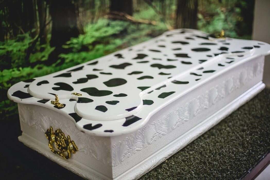 Especialistas reforçam acolhimento no luto por pets