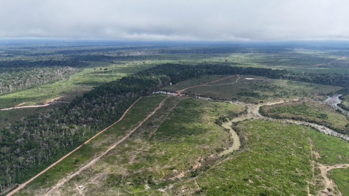 Posseiro é multado em mais de R$ 24,3 milhões pelo maior desmatamento do ano, em Borba