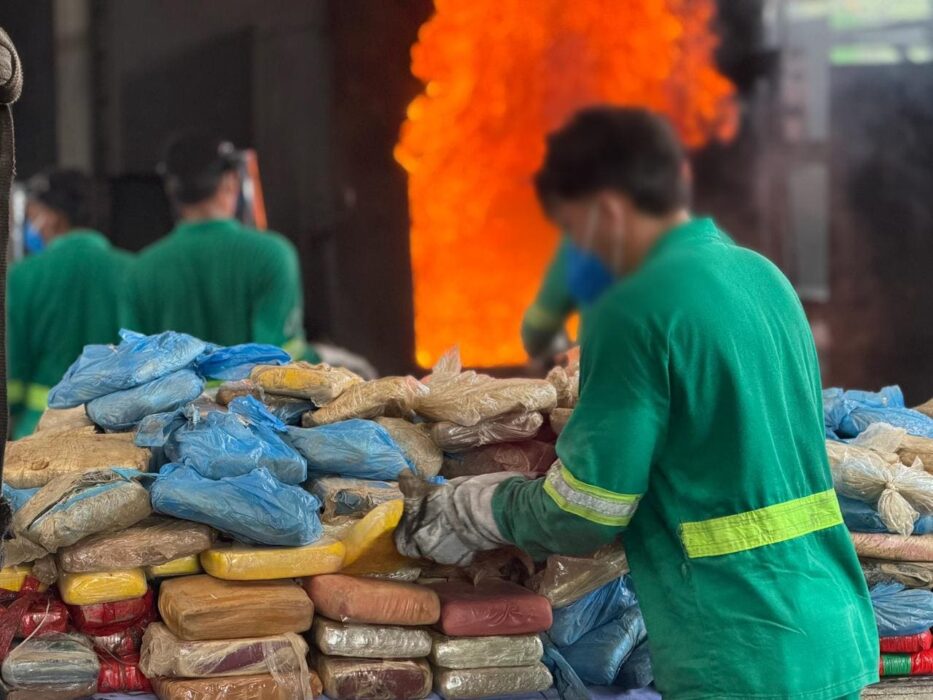 Polícia incinera quatro toneladas de entorpecentes apreendidos ao longo deste ano