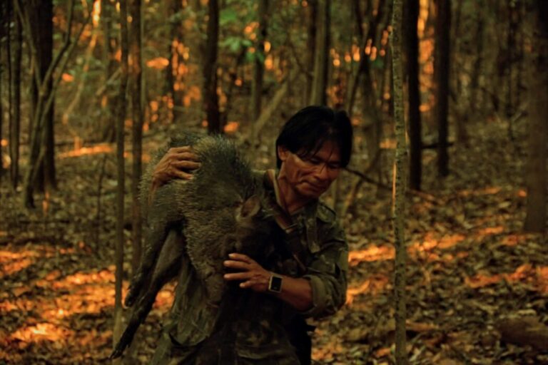 Florestas saudáveis garantem aos povos amazônicos acesso à carne de animais silvestres