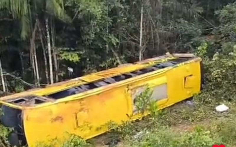 Vídeo: ônibus tomba em barranco na BR-319 em Humaitá e passageiros são resgatados 