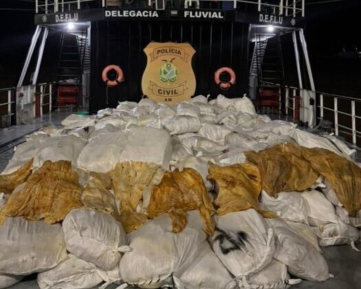 Delegacia Fluvial apreende 12 toneladas de pirarucu seco em embarcação próximo à Itacoatiara