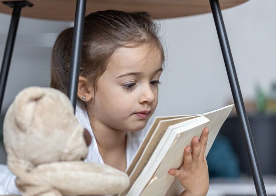 Literatura amazônica ganha espaço em ação cultural com doação de livros