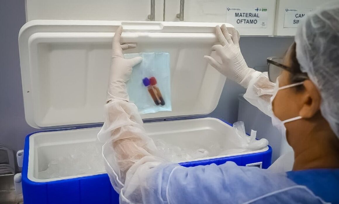 Hospital Delphina Aziz realiza transplantes renais com órgãos doados em Rondônia