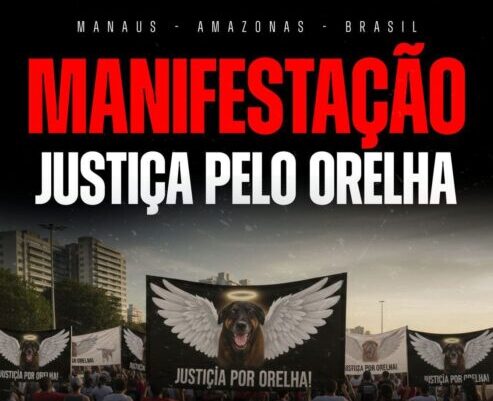 Caso do cachorro Orelha ganha manifestação neste domingo em Manaus