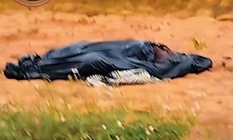 Corpo é encontrado por trabalhadores na rodovia AM-352