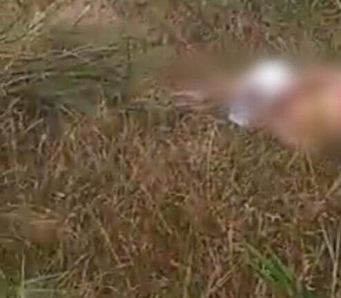 Corpo de um homem com mãos e pés amarrados é encontrado no Puraquequara