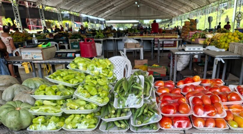 Feira de Produtos Regionais realiza 12 edições na primeira semana de março
