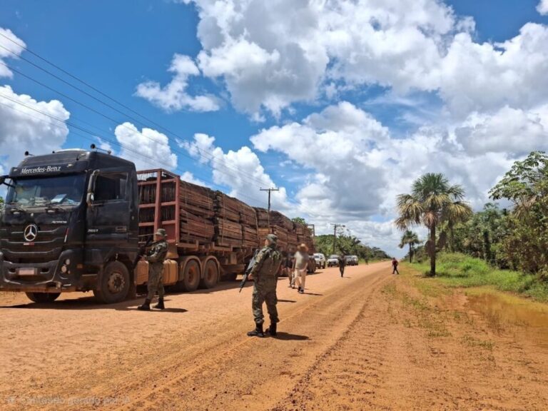 Operação Tamoiotatá aplica R$ 2,7 milhões de multas em nova ação de fiscalização em Humaitá