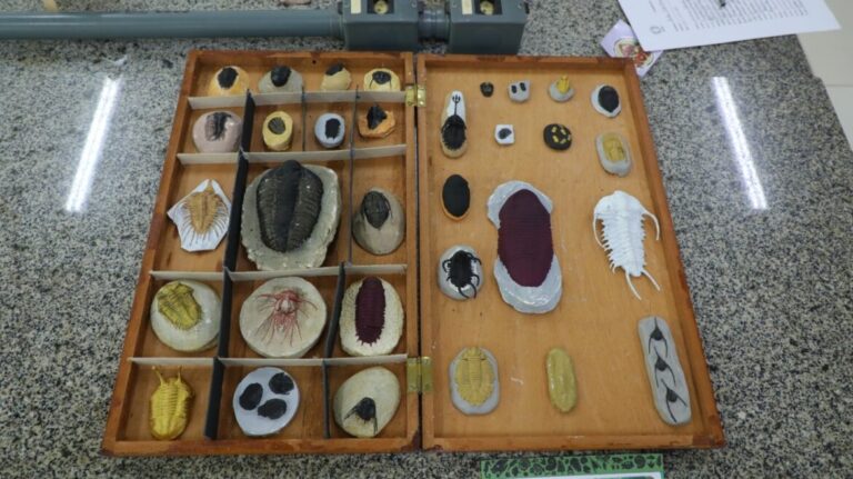 Fapeam está com inscrições abertas para o Programa de Apoio à Organização, Restauração, Preservação e Divulgação de Coleções Biológicas e Museus