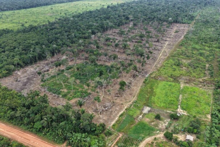 Primeira etapa da Operação Tamoiotatá 6 chega ao fim com mais de R$ 28,2 milhões em multas