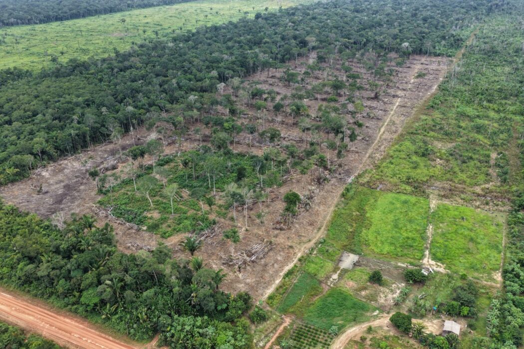 Primeira etapa da Operação Tamoiotatá 6 chega ao fim com mais de R$ 28,2 milhões em multas
