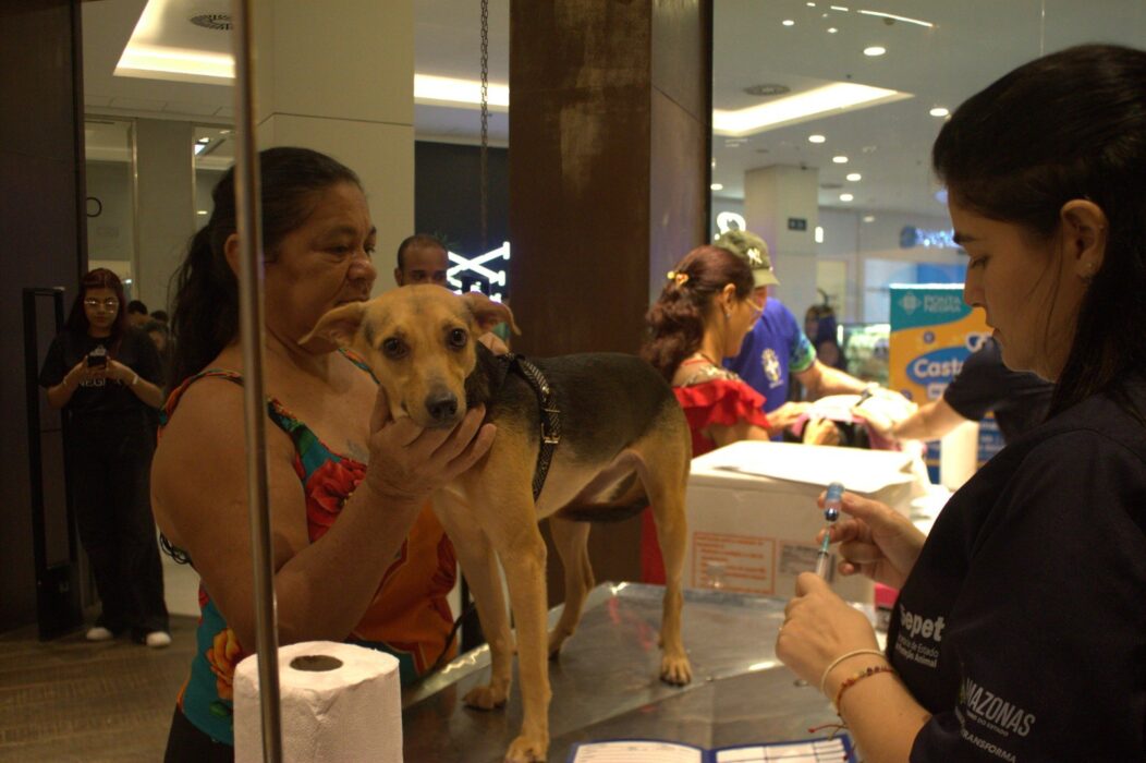 Bairro Jorge Teixeira é contemplado com serviços de castração, vacinação e adoção de animais  no dia 28 de março