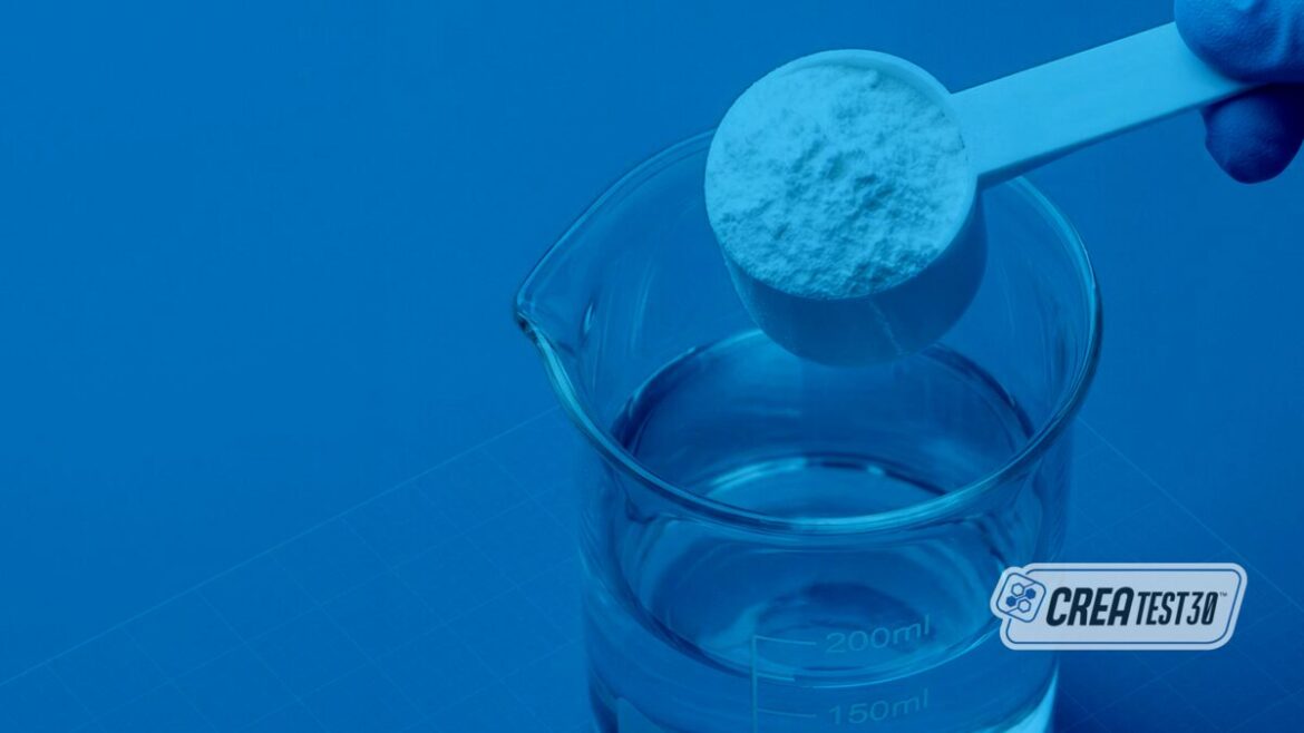 Creatina em foco: qualidade entra no radar global
