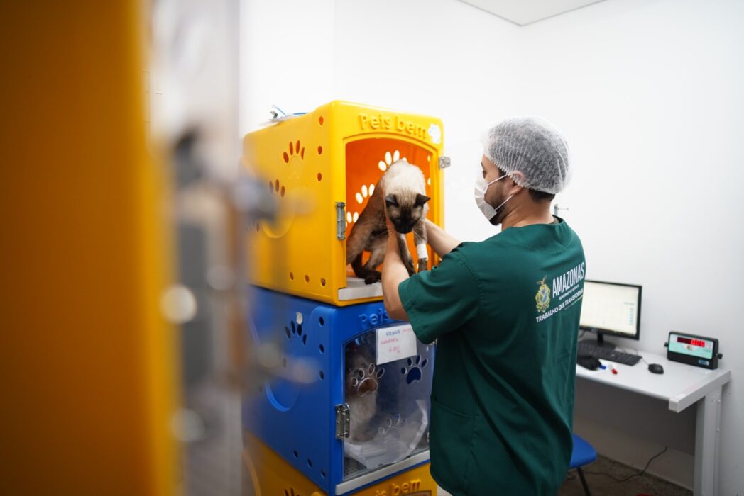 HPVet-AM alcança mais de 33 mil animais atendidos e reforça importância da saúde animal no Amazonas