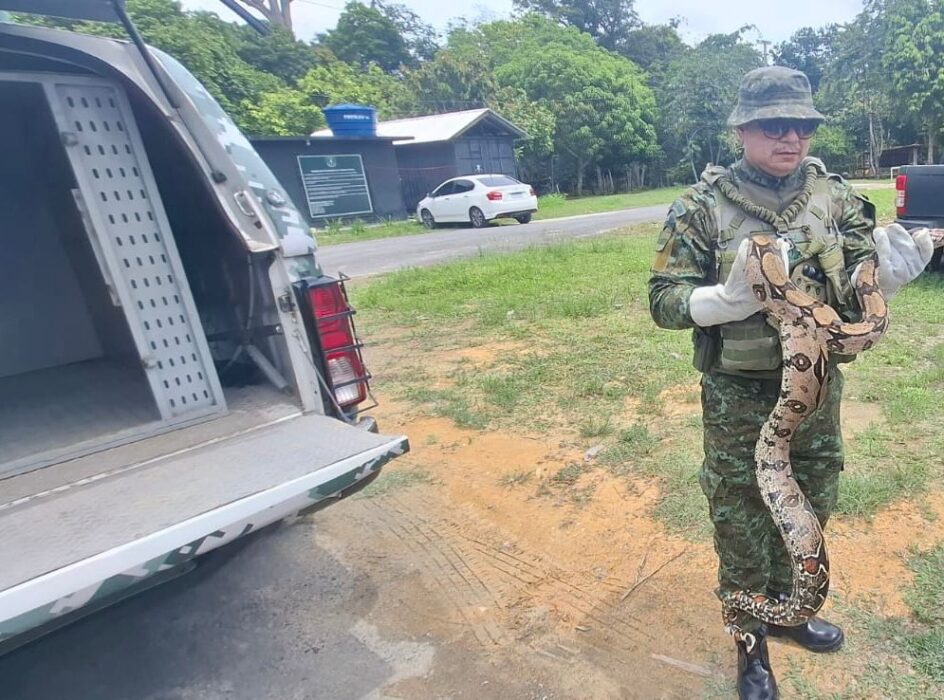 Gestor da unidade acionou o Batalhão Ambiental após estabelecido protocolo de segurança para comunidade escolar