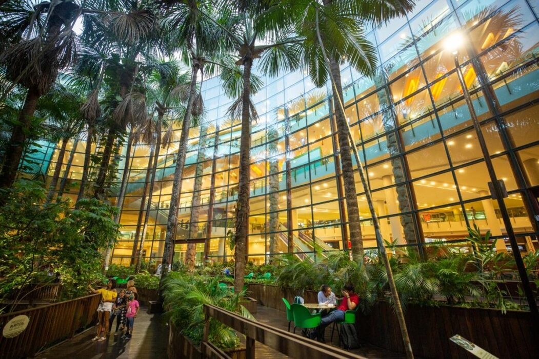 Com sorteio de TV de 98 polegadas, exposição e campanha solidária, Manauara celebra aniversário do Programa de Benefícios