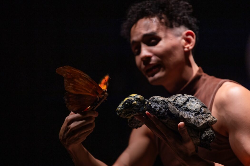 Espetáculo inspirado em pesquisa da Amazônia é exibido no INPA amanhã (22)