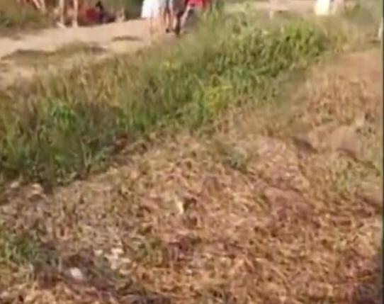 Vídeo: homem é morto a pauladas pelo próprio pai após surto em comunidade rural de Alvarães