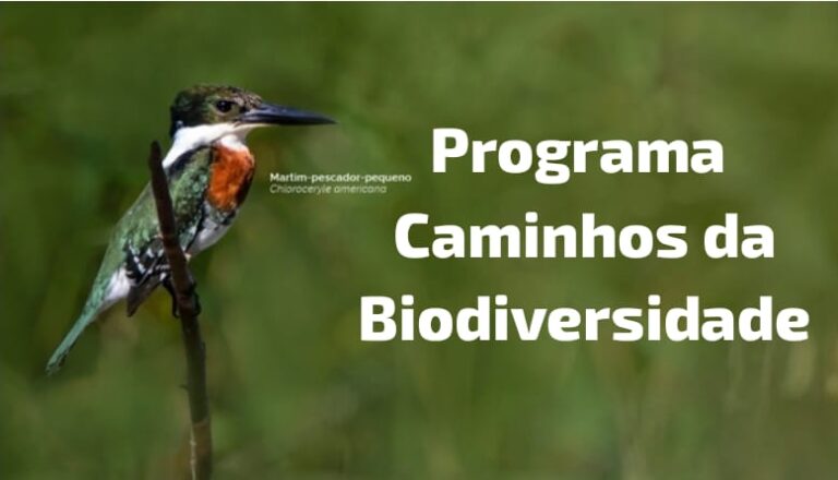 IBAMA lança chamada pública para mapear iniciativas de conservação e turismo de vida silvestre no Brasil