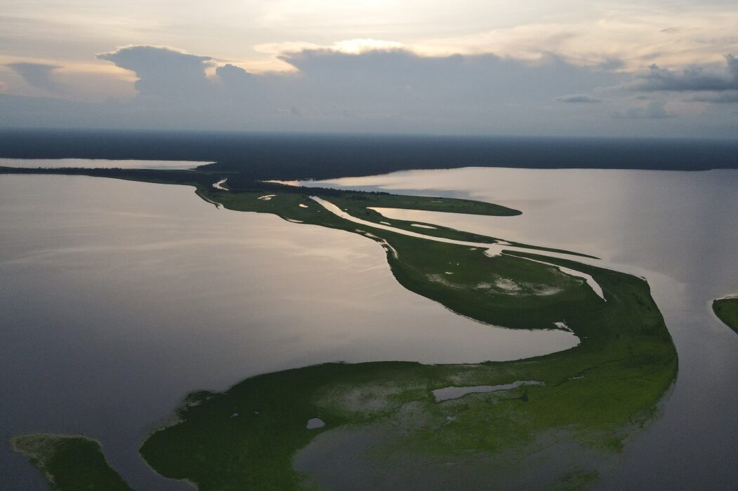 Instituto Mamirauá celebra 27 anos de atuação pela ciência e sustentabilidade na Amazônia