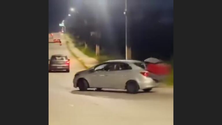 Vídeo: motorista rouba casinha de cachorros comunitários na avenida das Torres em Manaus