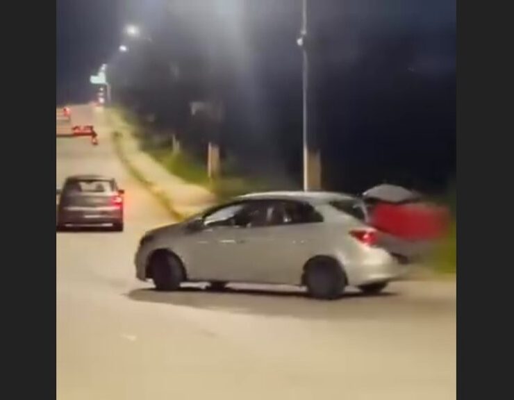 Vídeo: motorista rouba casinha de cachorros comunitários na avenida das Torres em Manaus