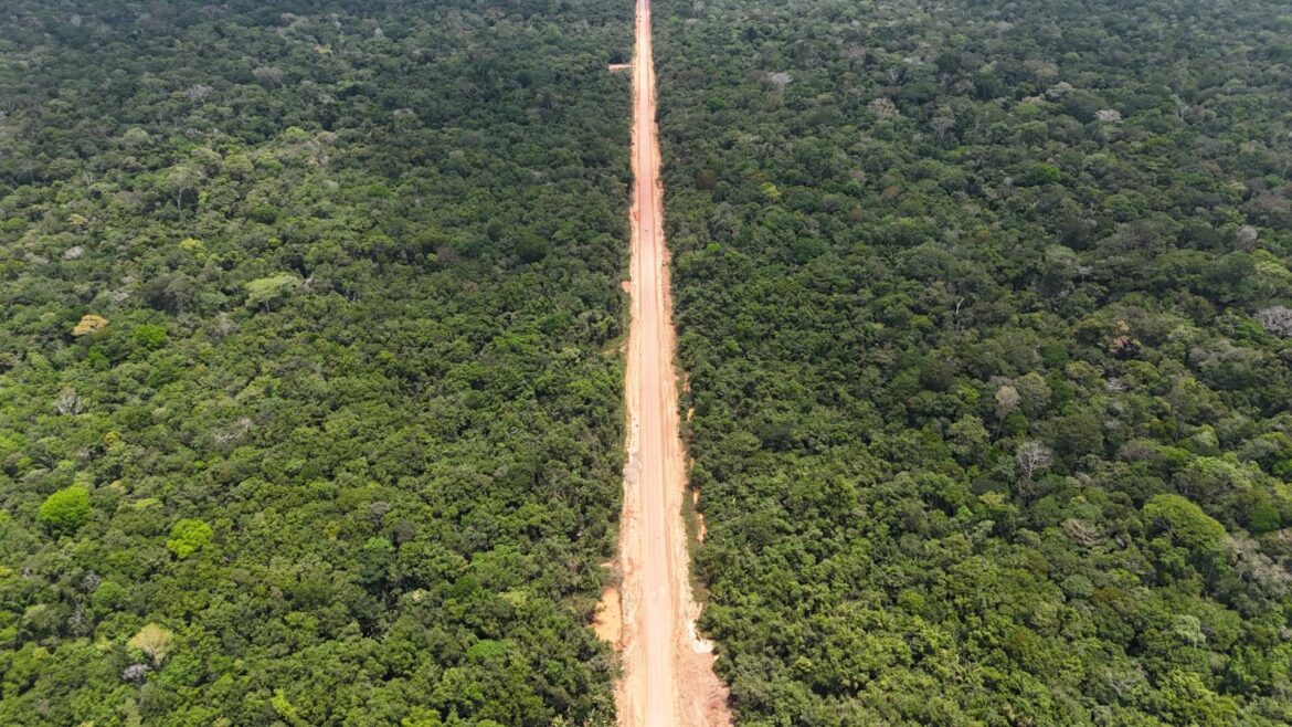 Ibama se manifesta a favor da BR-319 e enfraquece ação contra licenciamento