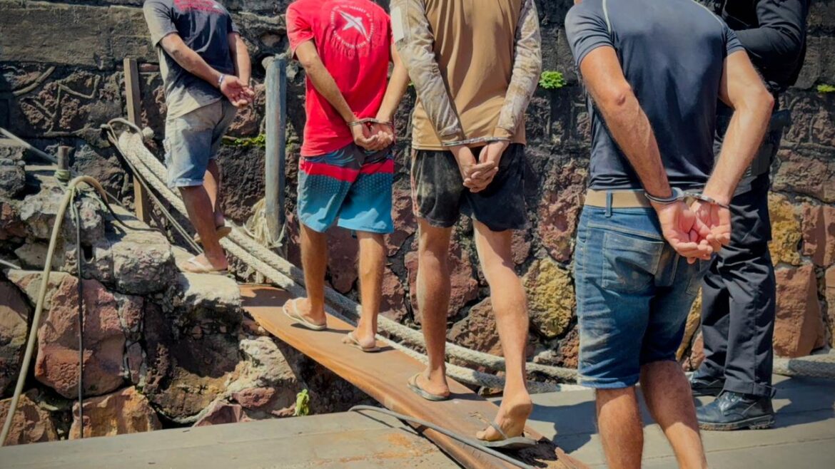 Polícia prende grupo criminoso por exploração de animais silvestres e maus-tratos