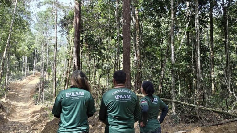 Ipaam encerra Defeso Florestal e libera manejo sustentável no Amazonas