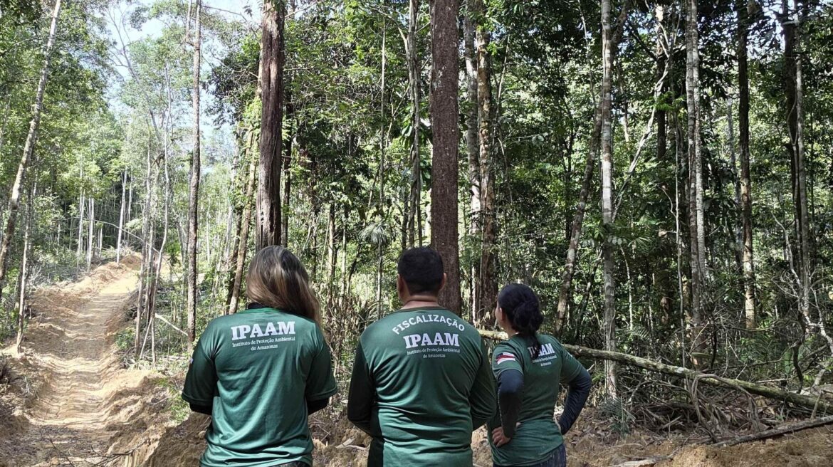 Ipaam encerra Defeso Florestal e libera manejo sustentável no Amazonas