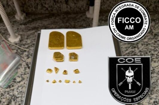 Polícias prendem homem com cerca de 400 gramas de ouro em bote