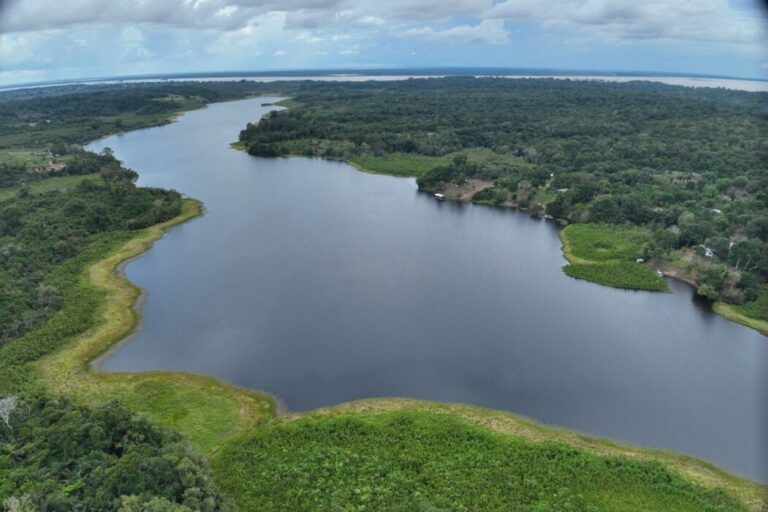 Cinco lagos amazônicos impactados pelas mudanças climáticas são monitorados por pesquisadores e comunidades tradicionais
