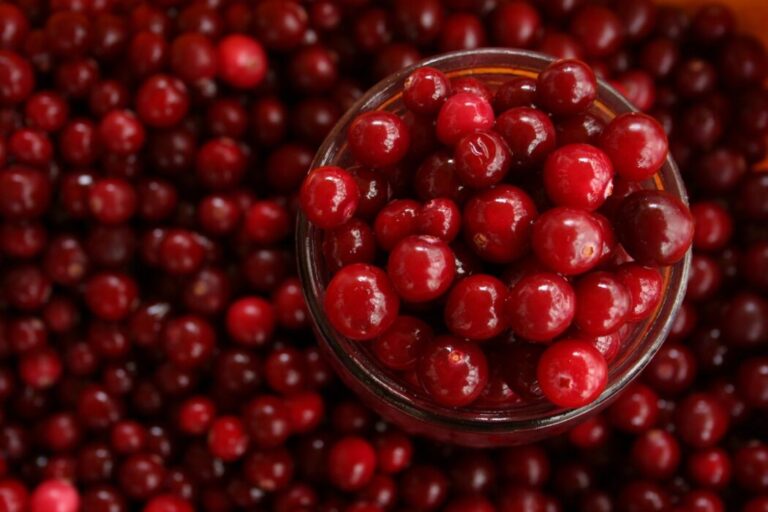 Cranberry ganha espaço como aliado na saúde