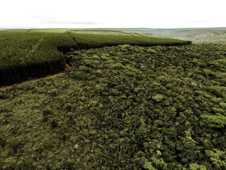Setores produtivos ampliam ações ambientais em Minas Gerais