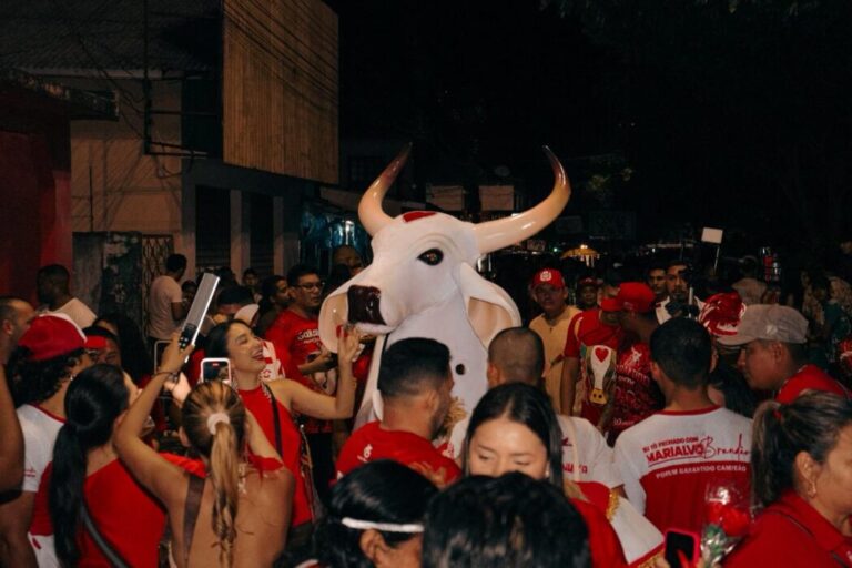 Boi Garantido leva fé, rosas e tradição às ruas de Parintins na Ladainha de Santo Antônio